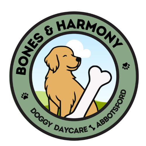 Bones & Harmony