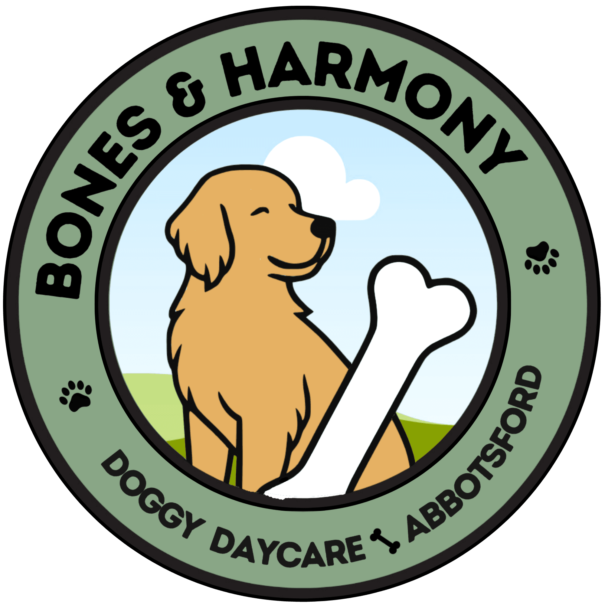 Bones & Harmony doggy daycare and dog grooming, Abbotsford